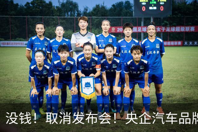 没钱！取消发布会！央企汽车品牌阿维塔短剧式营销引争议