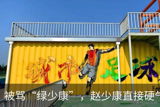 被骂“绿少康”，赵少康直接硬气回怼！结果黑料全被支持者抖出来